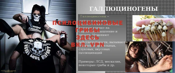 MDMA Богородск