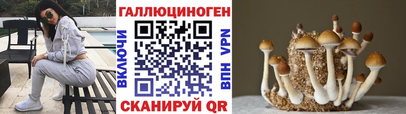 Галлюциногенные грибы GOLDEN TEACHER  Гулькевичи 