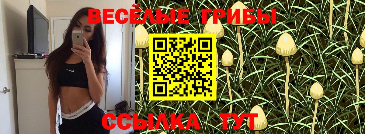 Галлюциногенные грибы мицелий Гулькевичи